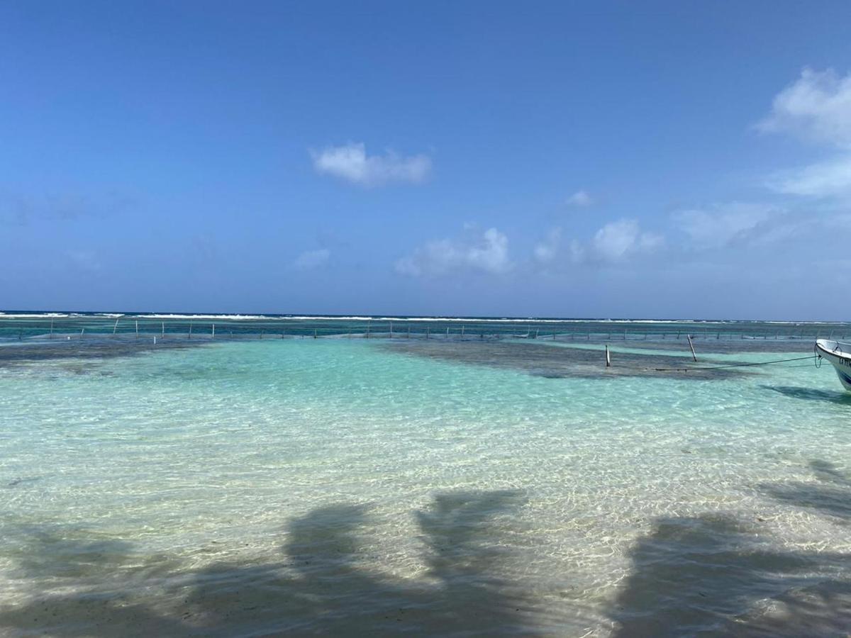 Hotel Blue Reef frente al mar Mahahual Esterno foto